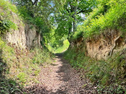 22-06-06 11-35-45 1060